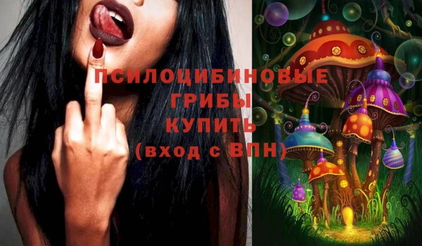 бошки Баксан