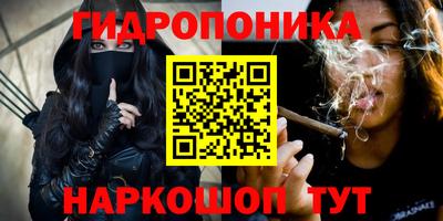 шишки Волжск